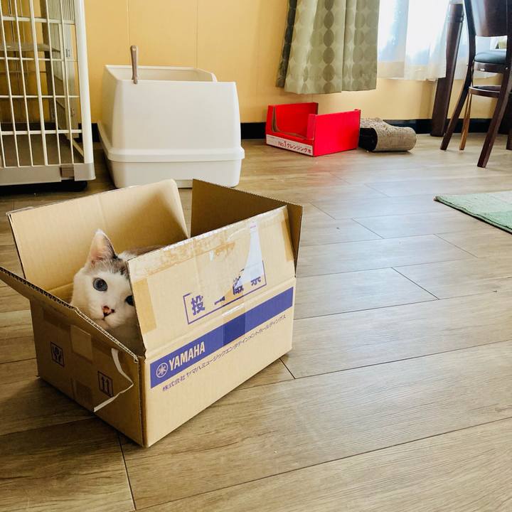 B87732ae 456a 4b4f b891 e519fe691731 1696778827451