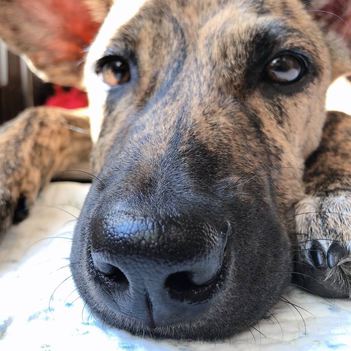 B87750df 6906 4618 8e95 d9e3259b1563 1572668312328