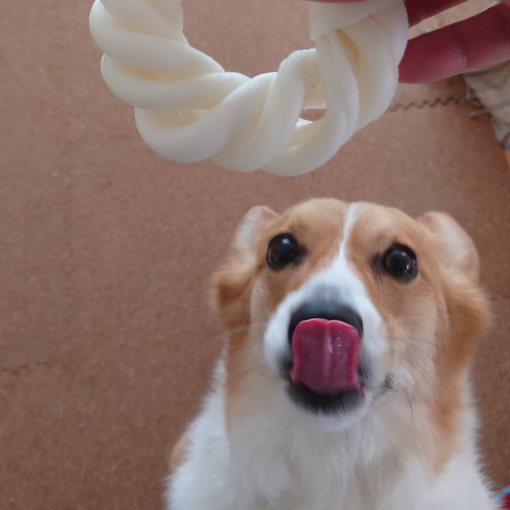 B8775434 c986 4e52 96b9 379893199b00 1773546209064