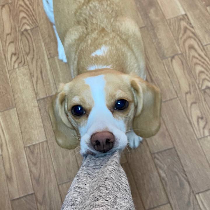 B8777b28 31bc 40d3 94d8 0e86584feb6e 1588906669937