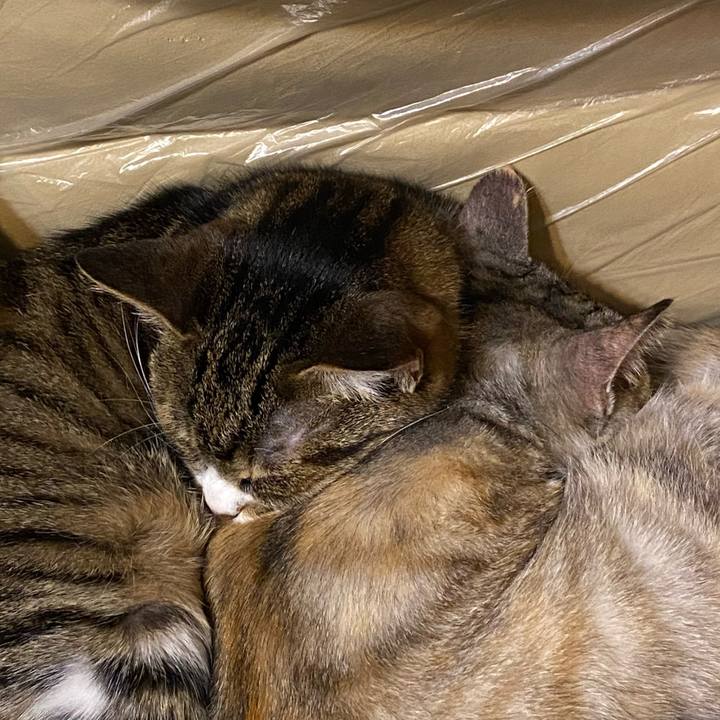 B877a224 87cf 49f3 9fe5 5b9db84695e1 1613561860133