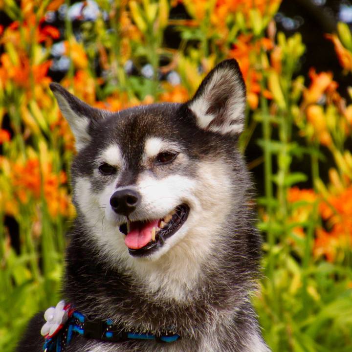 B877bd3f b636 4caf a109 a27c0fdbc095 1658401972173