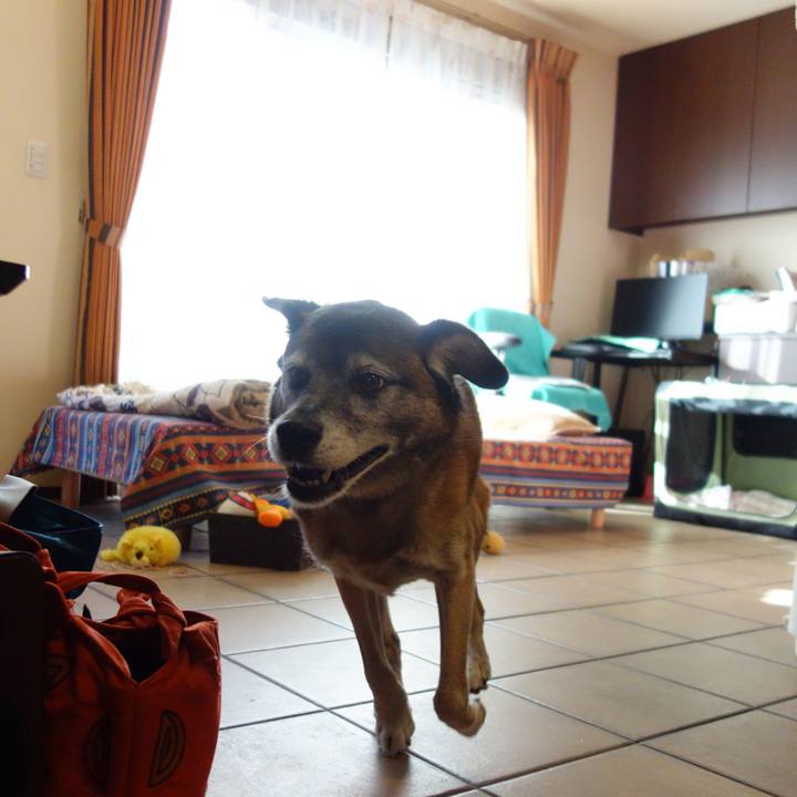 B877cea4 f195 45aa b875 f812e949b0ff 1546480633433