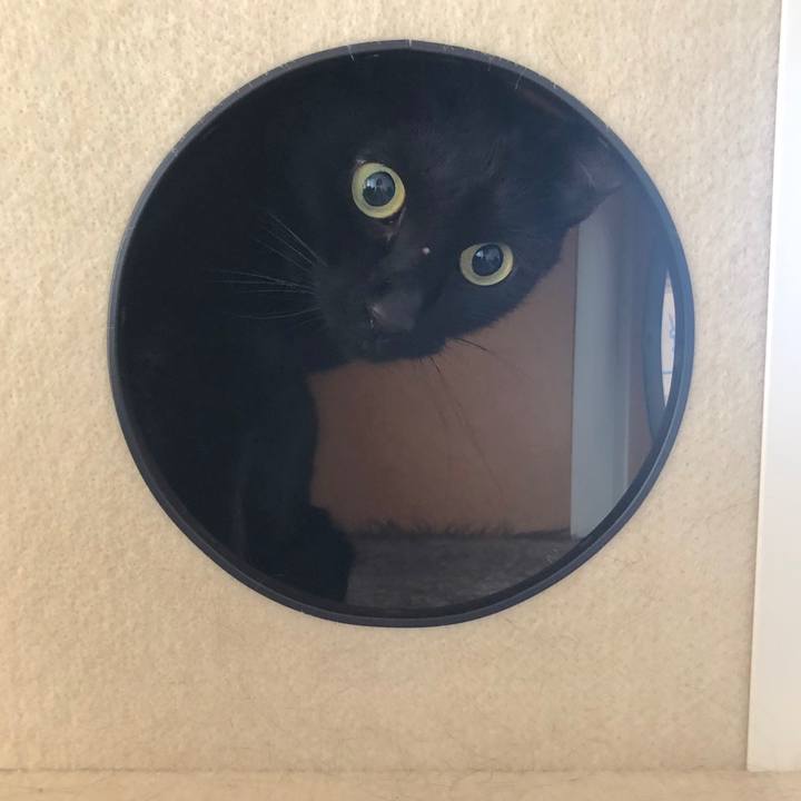 B877eec1 fb09 47d7 8b82 3d0eff995035 1565871206546