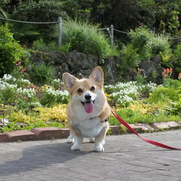 B878023c 6d54 4634 8af2 6c95f5aa72ea 1591435178440