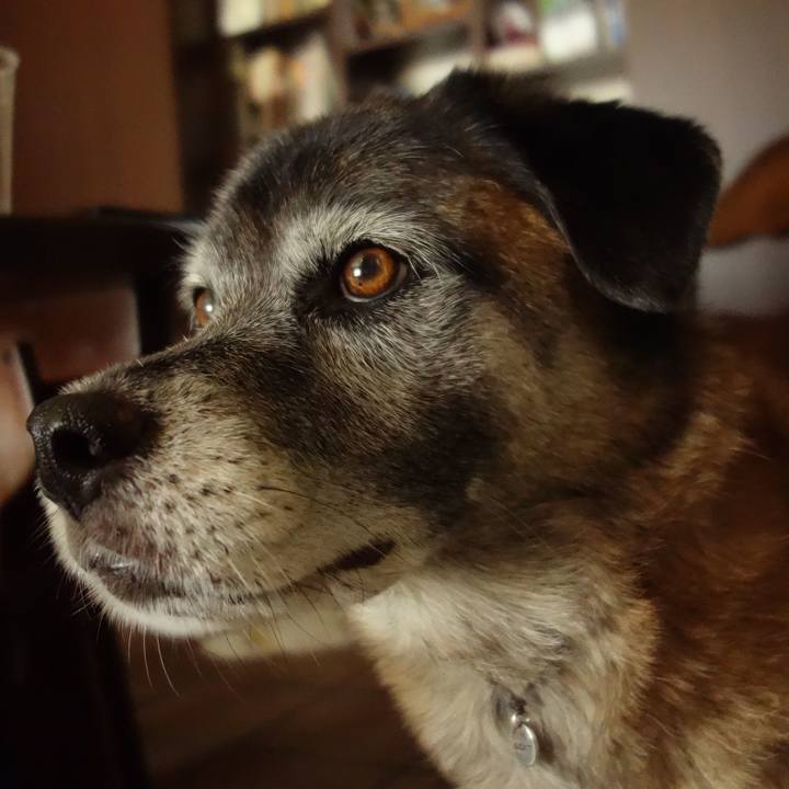 B87817ad f90c 4d2c b397 5a61d6b48612 1650155881166