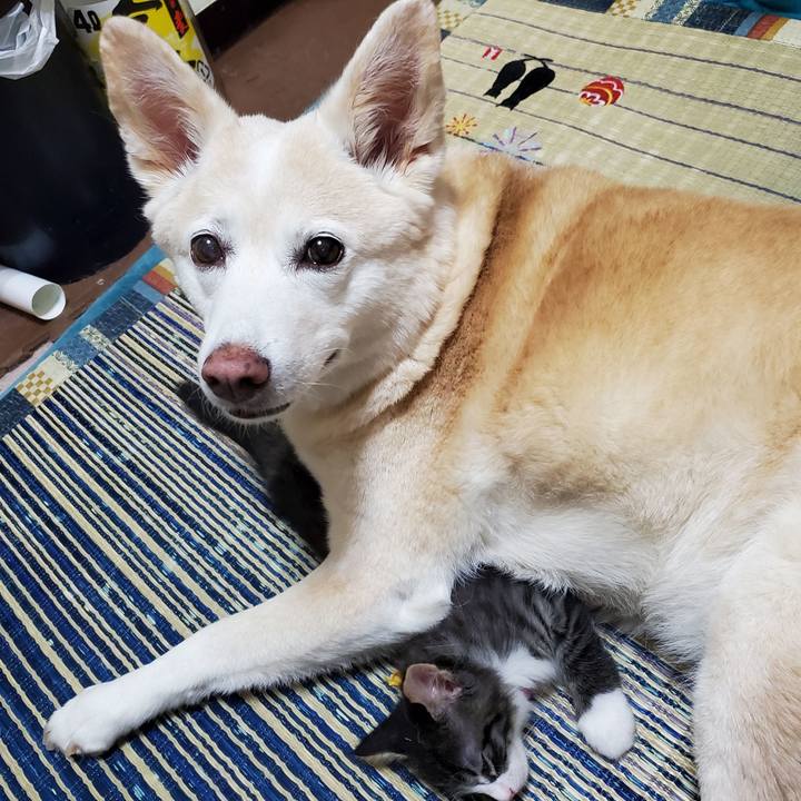 B87824be f66a 47bc 844d e7f4e059fcba 1626964867003