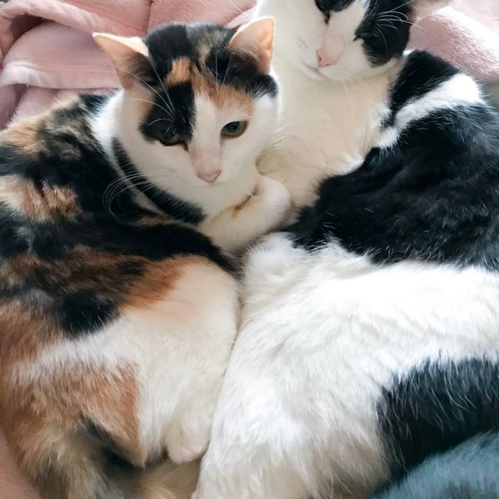 B8783836 f5bb 455d 9b65 266ea2955de7 1515975747898