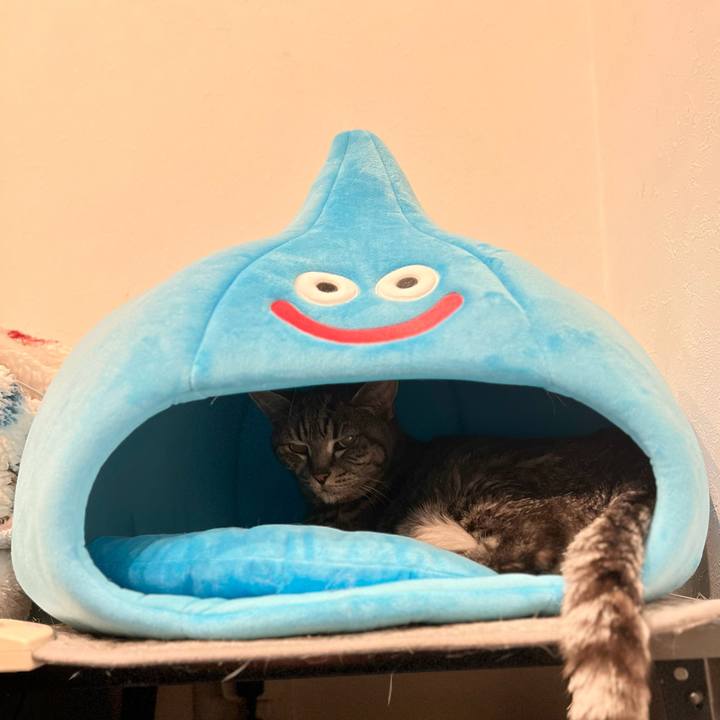 B8783b9b d183 400c a73e 0cda470436f2 1763887690941