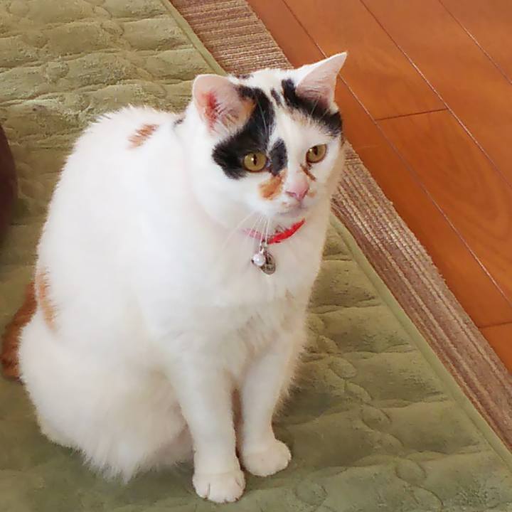 B8784422 41f1 460b 9329 4cb18fce6791 1513986600927