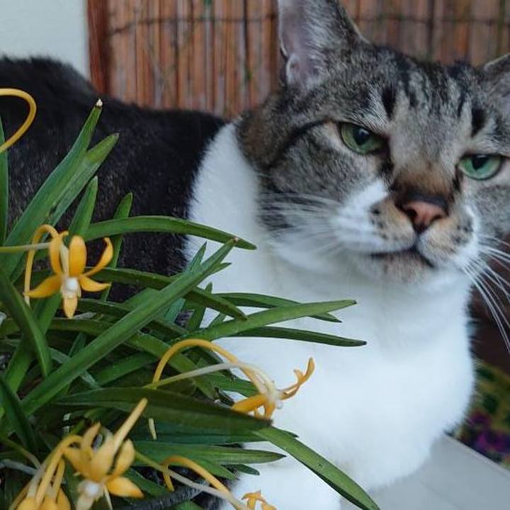 B87844b7 1881 4178 91db e33c7050d76e 1654913390852