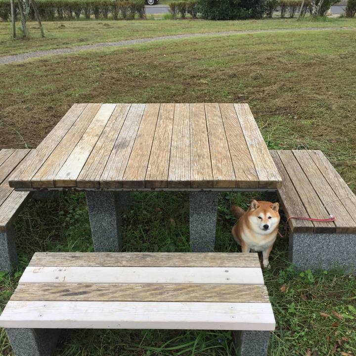 B87852f1 3ae4 41fc 9690 5509b0470cd8 1572255262264