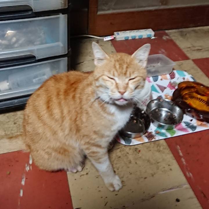 B8787bb6 9516 403f 91ec 822547c23ded 1590352198129