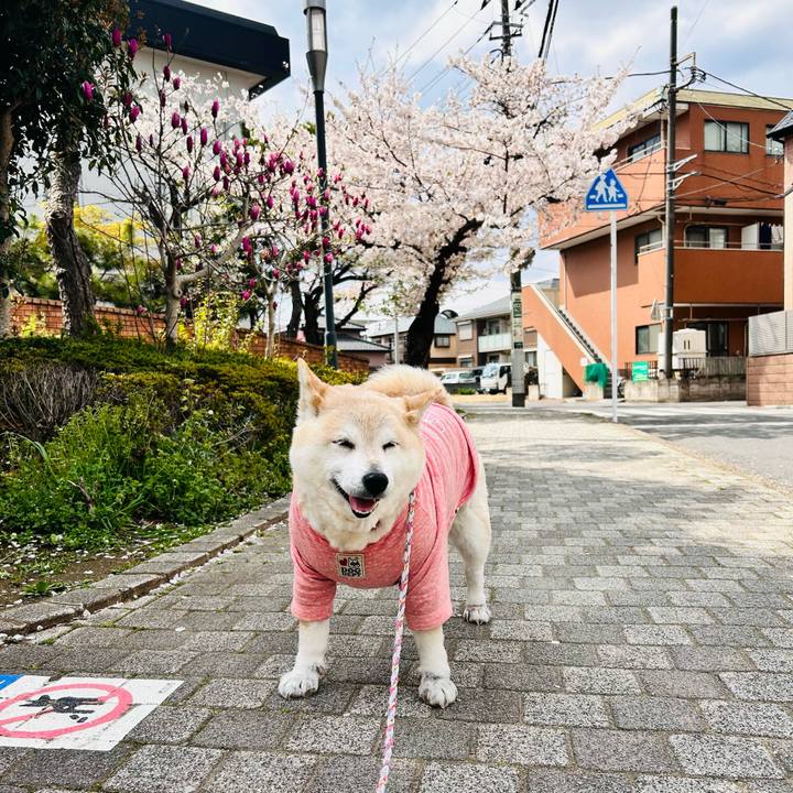 B87892c0 71b6 4f9a 992f 9eda535f665f 1744000184153