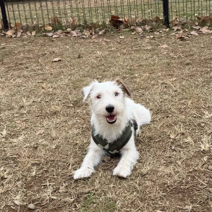 B8789c0c 9376 4be4 8fef a10eb2e553ef 1764511998781