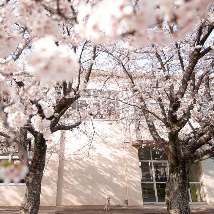 B878b20f 3f06 4ba8 a7cb 8ed91aacf03f 1617111296581