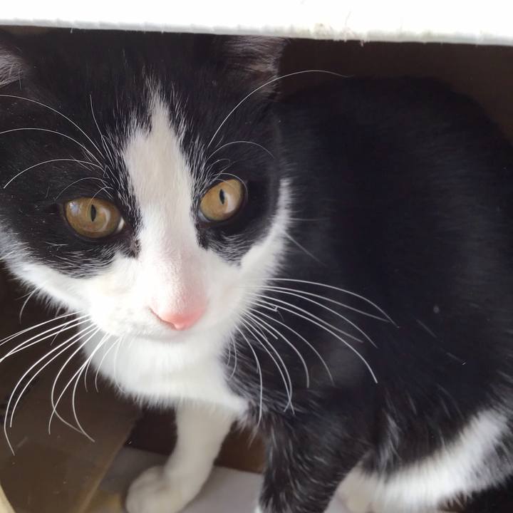 B878ebeb cbb1 42b1 bb98 bde4bedecbd9 1642308271918