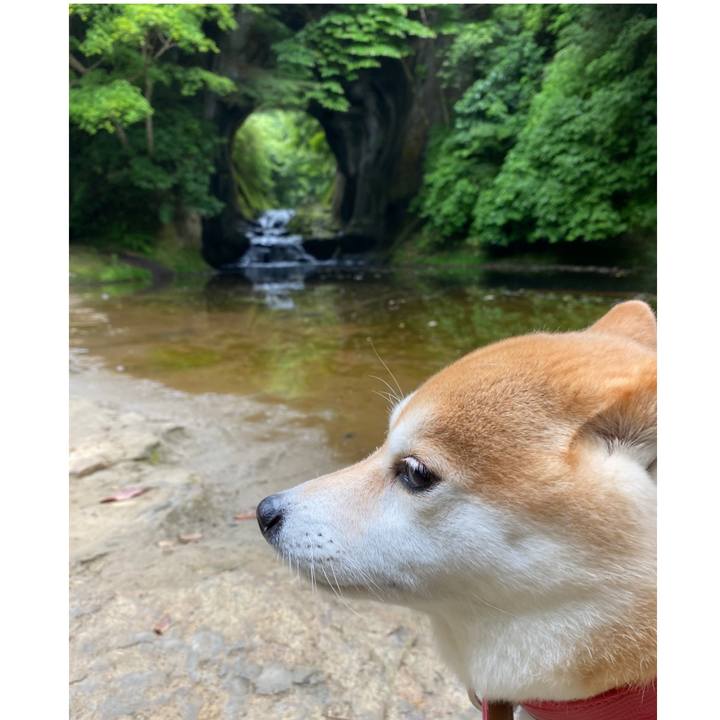 B8790332 24d1 4d9d 9689 a3cabc27354e 1627822022744