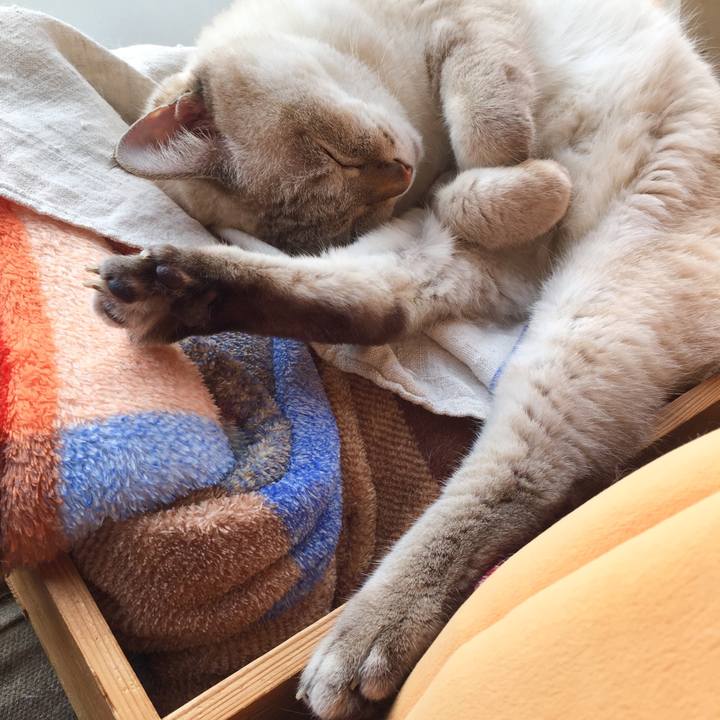 B8790439 6e70 49ed 8a64 2dff92015a47 1570505497328