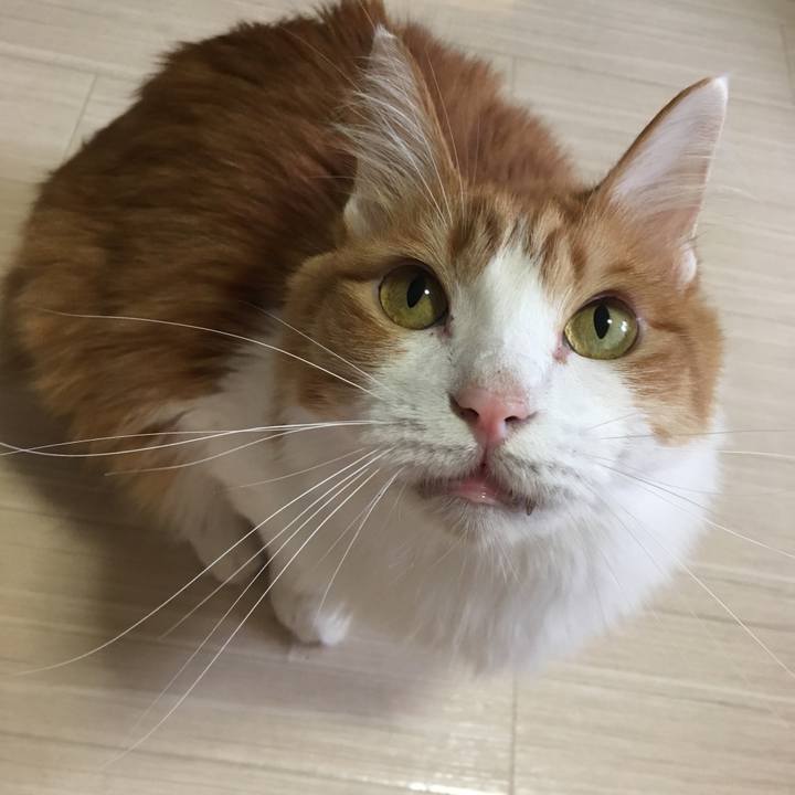 B8790801 ebbc 4e84 90d6 bce010e124dd 1538370715868