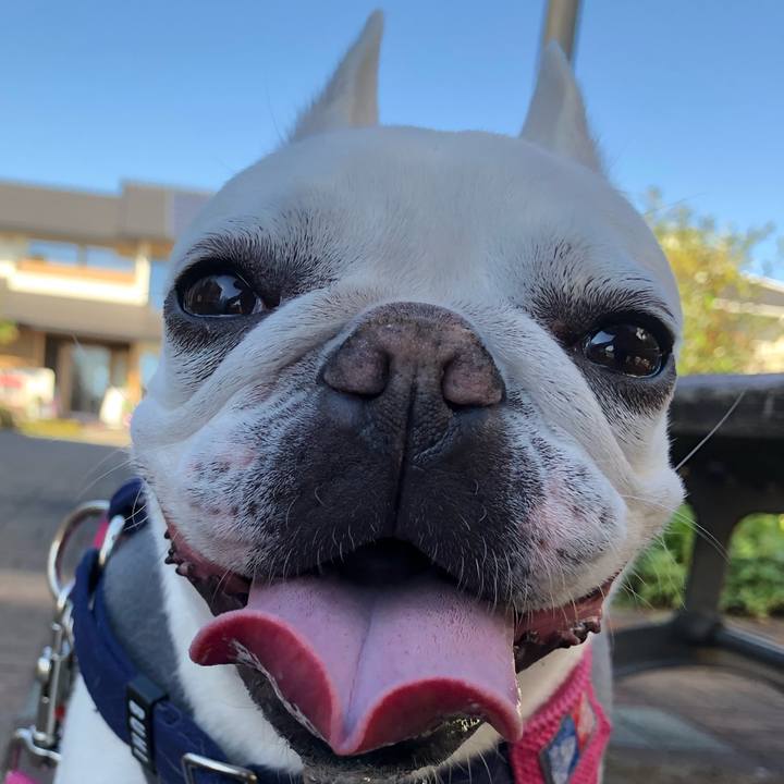 B87952b8 21be 4dde 997e 2112c2618d2d 1606110365671