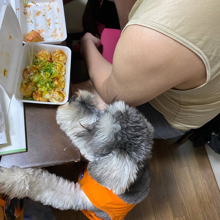 B879684e 3af3 4119 8d4e d82b346a0f43 1582527112700