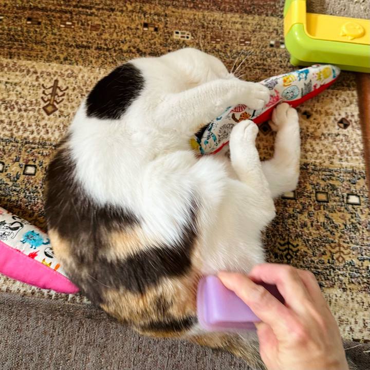 B879699b bb64 4211 8f42 ebeef5af5a6a 1683682722985