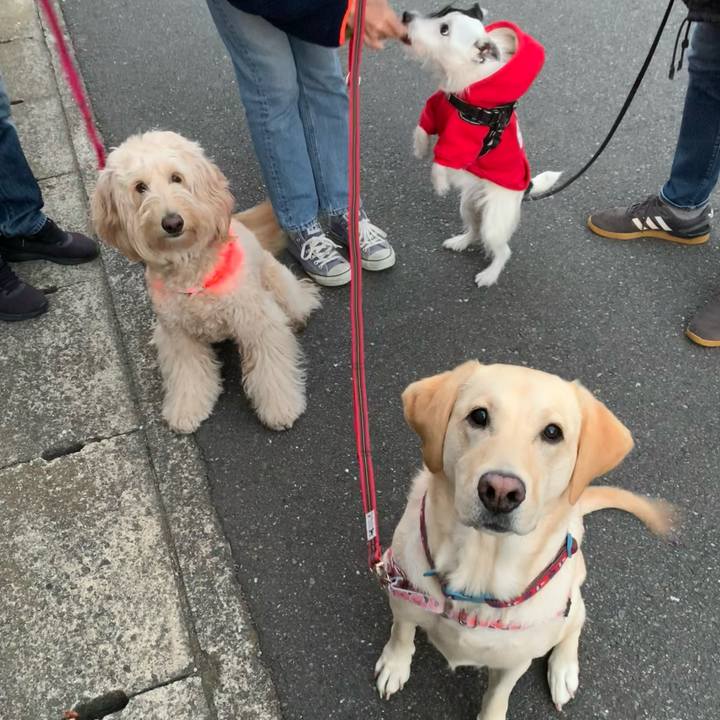 B8798250 2e0e 4030 bbb7 2ce668e58cfa 1733989667714