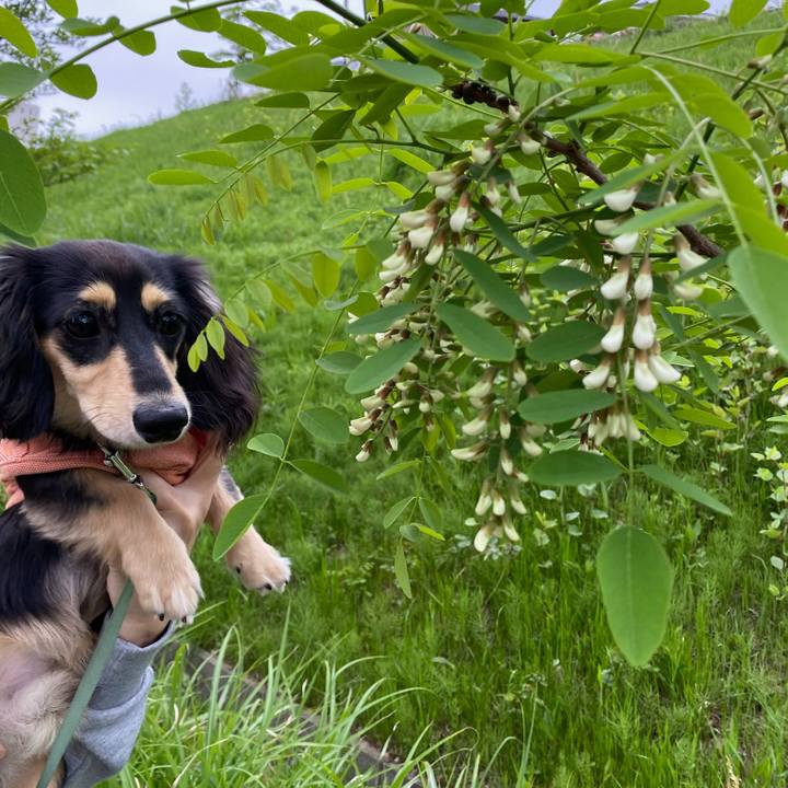 B879f4ab bddb 437b b372 fd702b4ad372 1682228760756