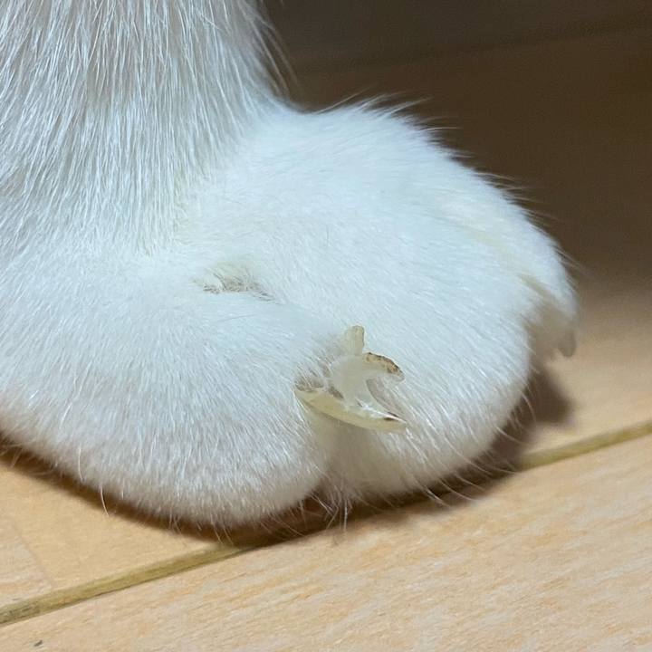 B87a2675 f845 45d7 8449 87d8983a135b 1664570374687