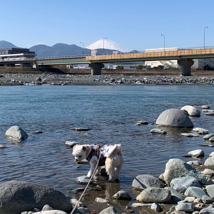 B87a77ea 3a5b 46ac bdc0 f46fb731237b 1580901961125