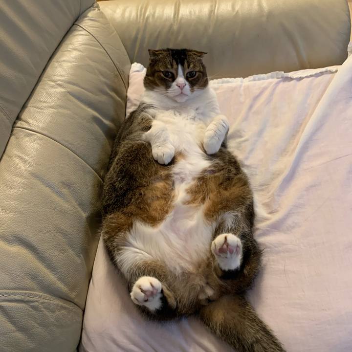 B87aa490 3fb4 49b8 a498 4a638f53faac 1585304657615