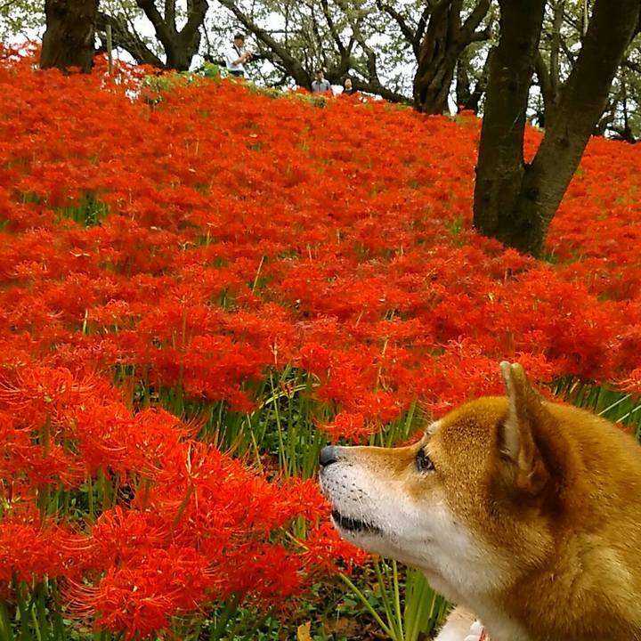 B87adf1f 0189 405a 8955 06a0a1dc682c 1537683373160