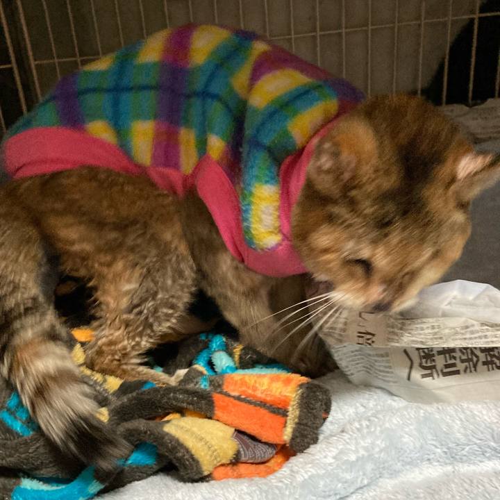 B87aff6c d7f9 4045 9948 1821ea956f71 1614156745503