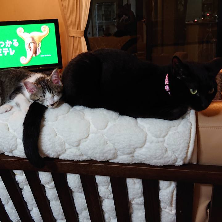 B87b1087 af2f 430b 8152 0dc53d1a6a6b 1541494631218