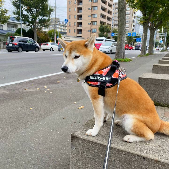 B87b27dd adc5 42fd 881c 7e01bd791eb3 1601511992160