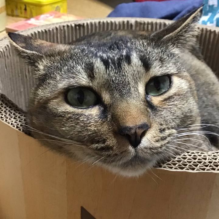 B87b28ff d4a4 4f54 ab4f 5ee6cc54c918 1743672684298