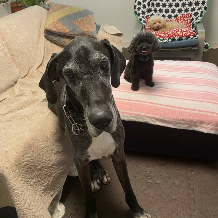 B87b2f43 62b5 4192 beef 94eaf76b2cf9 1623624516587