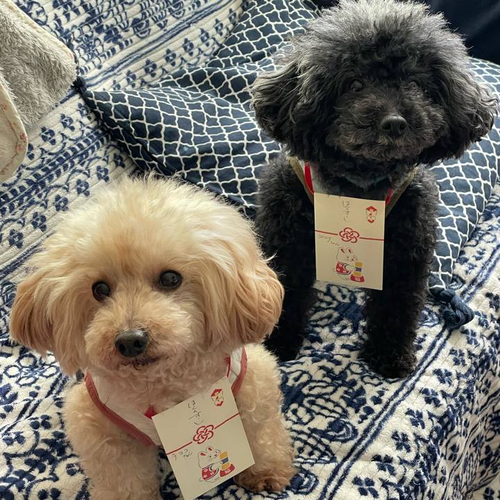 B87b7700 74e1 4421 b2a9 0b851a9dd3bf 1672717775045