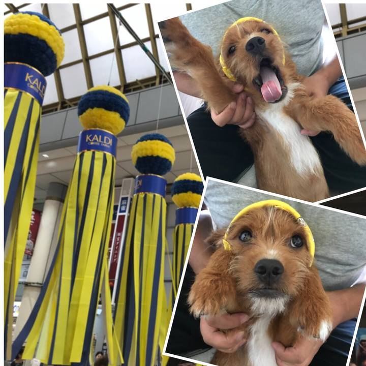 B87b81bc cded 4309 a9cd 9455d5b7f763 1533682452464