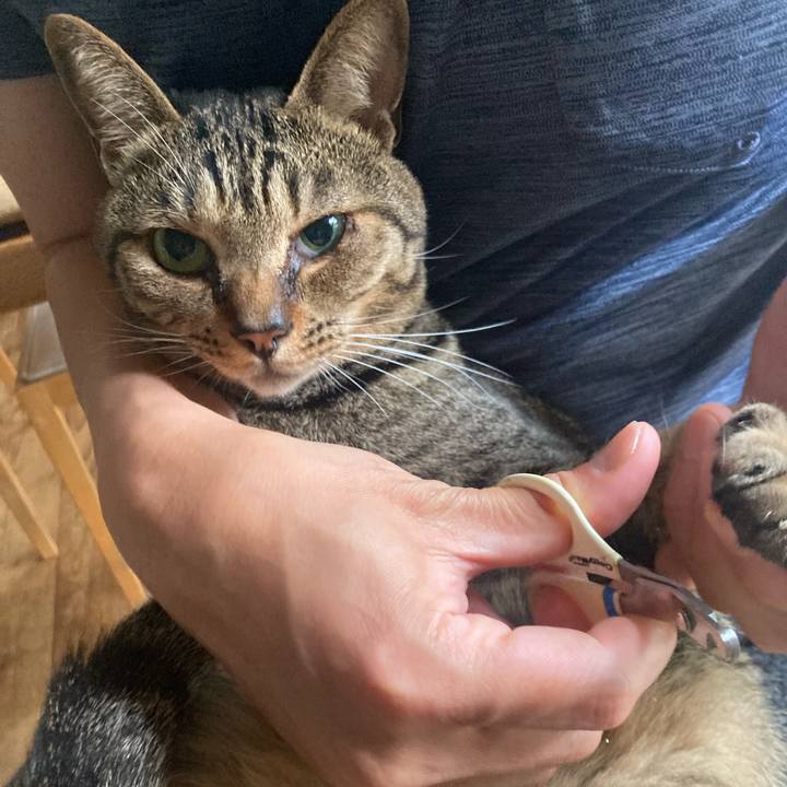 B87b8f52 c00f 4296 aaf2 aa332db7057e 1747440472829