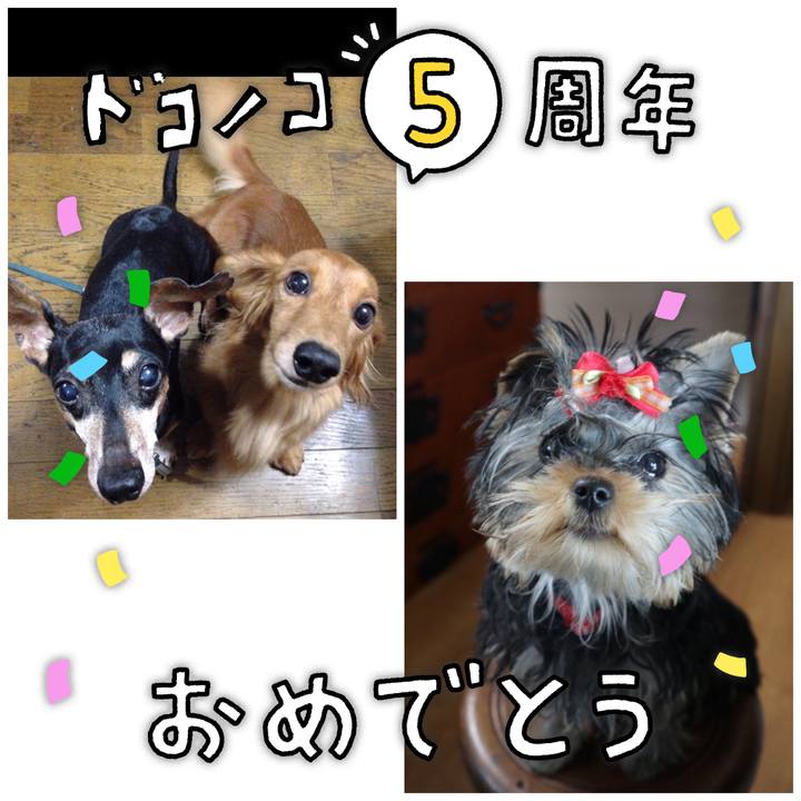 B87b9b12 9d9e 4cdc 82a0 7083a6e4277b 1622954769027