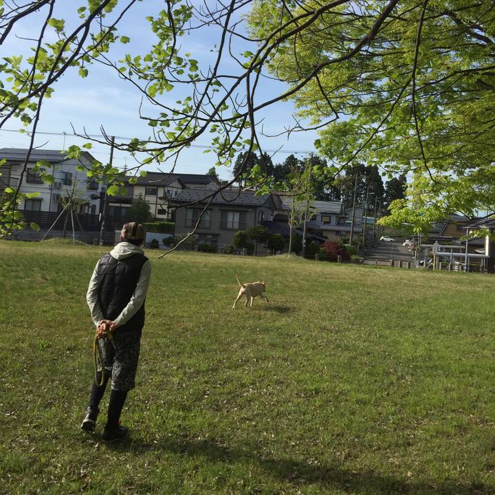 B87be3bd 9ff5 4663 9df0 1e2f42ad163d 1547986037686