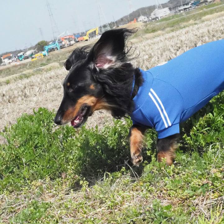 B87becf4 1ebf 42db a629 82f049abc38a 1585221719326