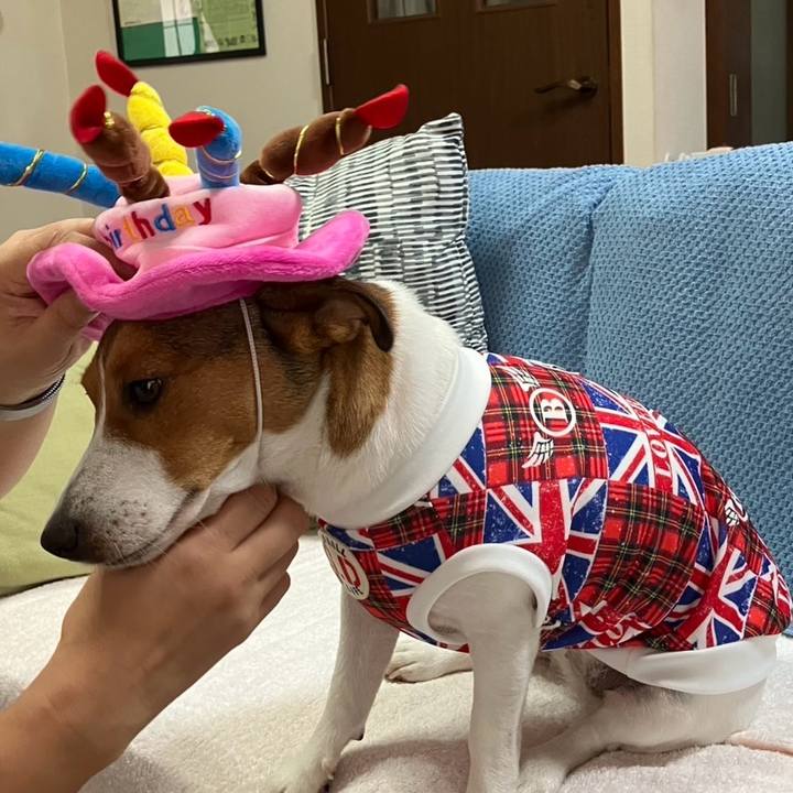 B87c0990 6610 46b6 a832 711e85e65c32 1754560594389