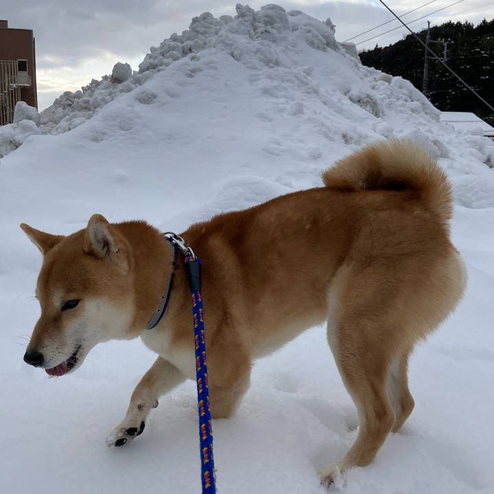 B87c0bd0 aed0 420c a821 6ec04f26f100 1645171634859