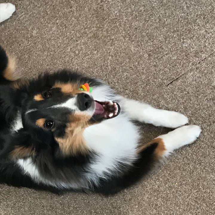 B87c43f9 0268 4132 94c5 2a0cfc224ce1 1522016820819