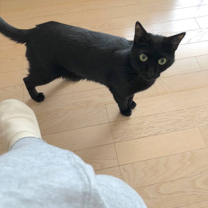 B87c4afd 19eb 4462 b459 34b77c4153f4 1524363806819