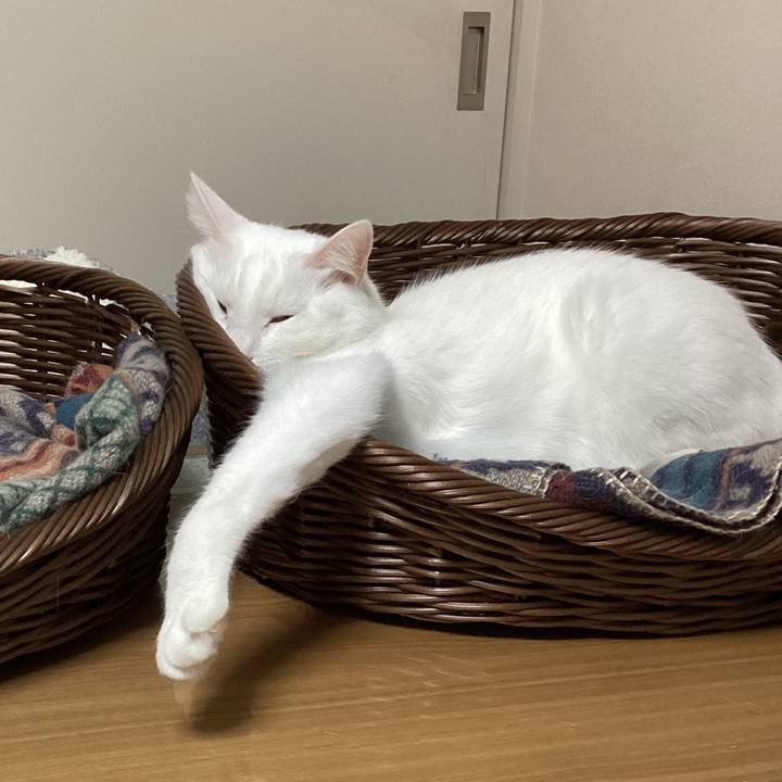 B87c4d33 772c 43f5 ab20 cb5d37f6203b 1704414577381