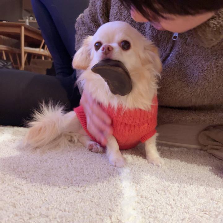 B87c9b7b 5b75 4892 91fc 89c4451f052a 1739885600560